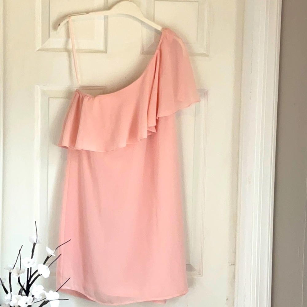 Naked Zebra pink peach chiffon like one shoulder mini dress. Fully lined sz S